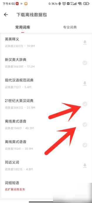 有道翻译离线怎么发音？超详细设置教程与问题排查